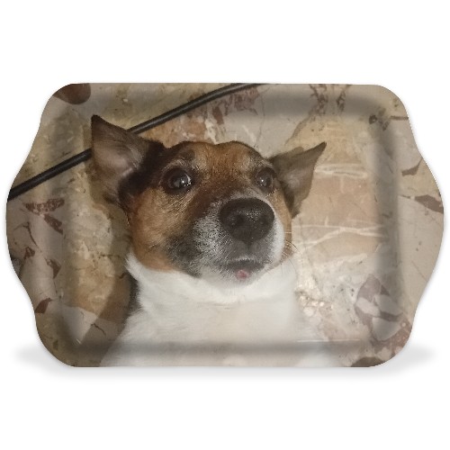 Design 685353 Rolling Trays Image
