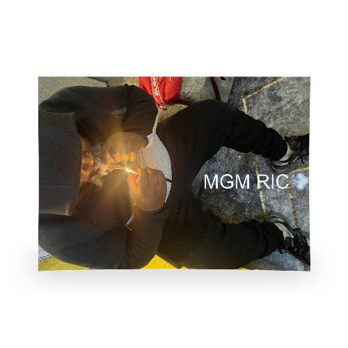 Design 685393 Rolling Trays Image