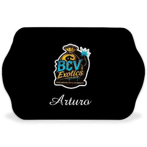 Design 685629 Rolling Trays Image