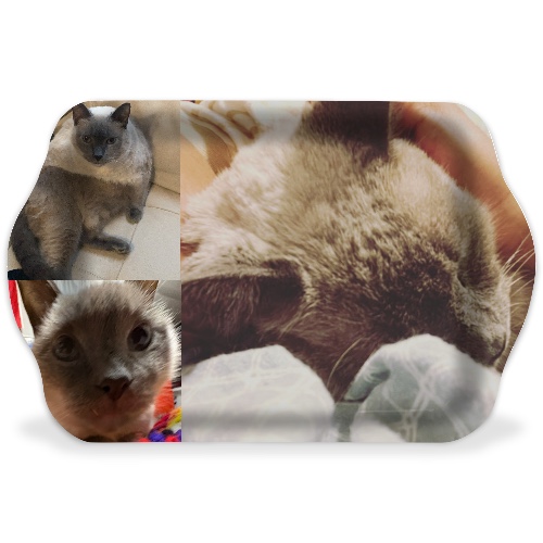 Design 689489 Rolling Trays Image