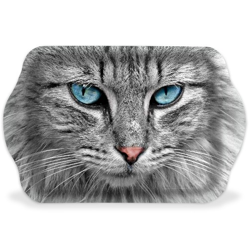 Design 689793 Rolling Trays Image
