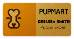 Design 238181 Custom Nametags Image